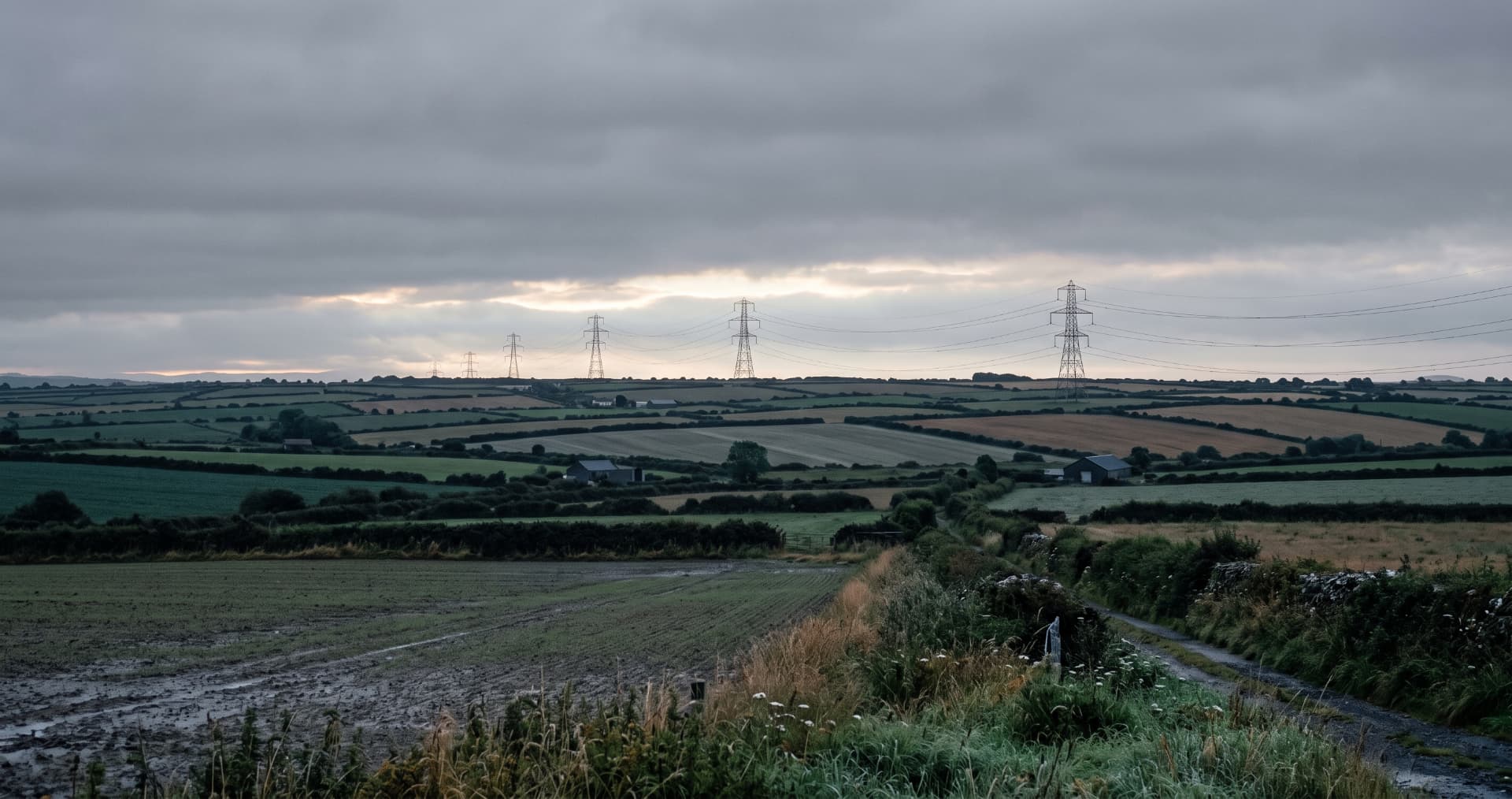 Irish farmland under an overcast sky, with hedgerow-lined fields and a line of electricity pylons crossing the horizon