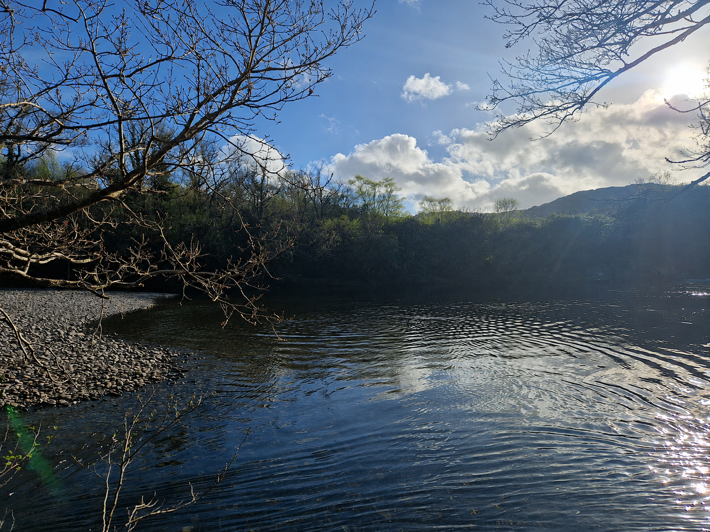 A calm Irish river at low sun, framed by bare winter branches.